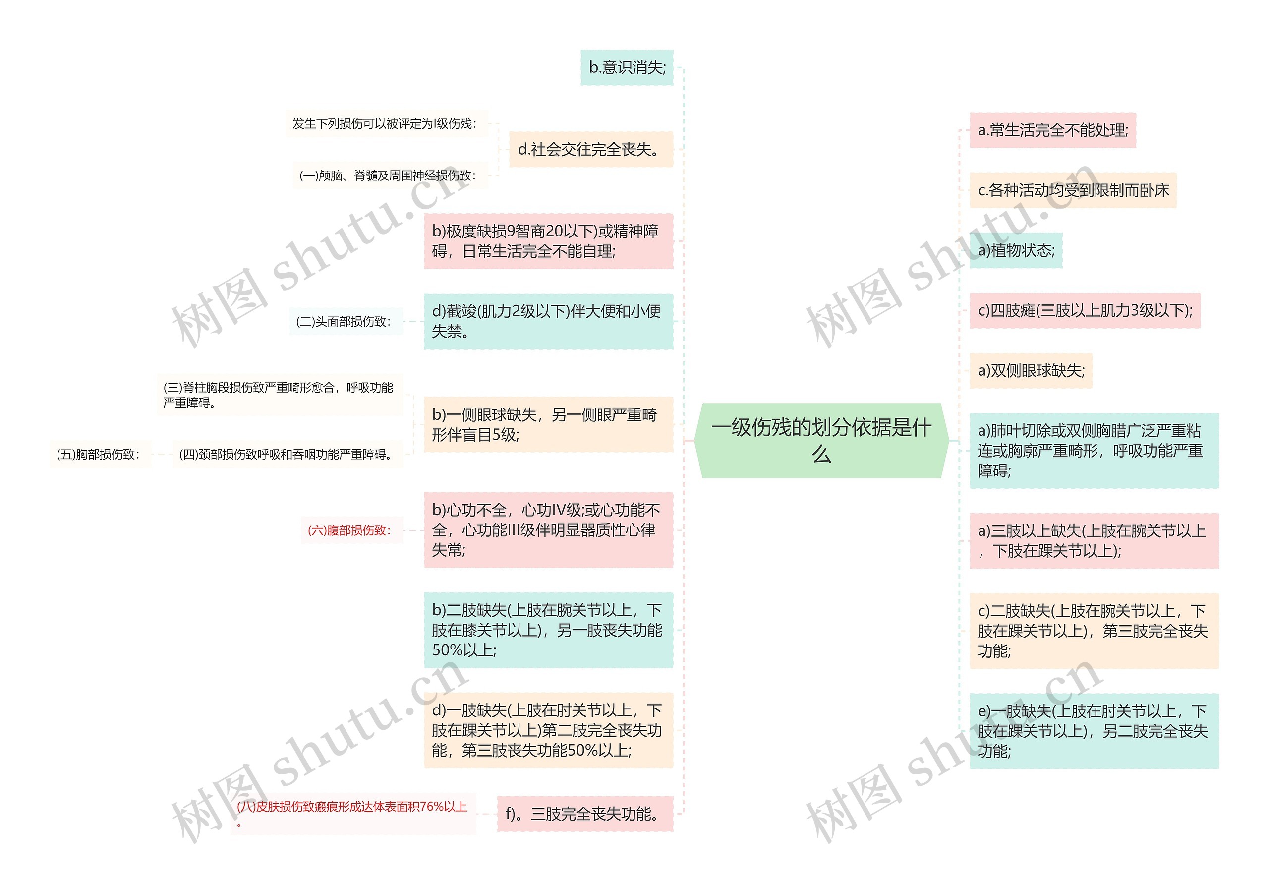 一级伤残的划分依据是什么思维导图