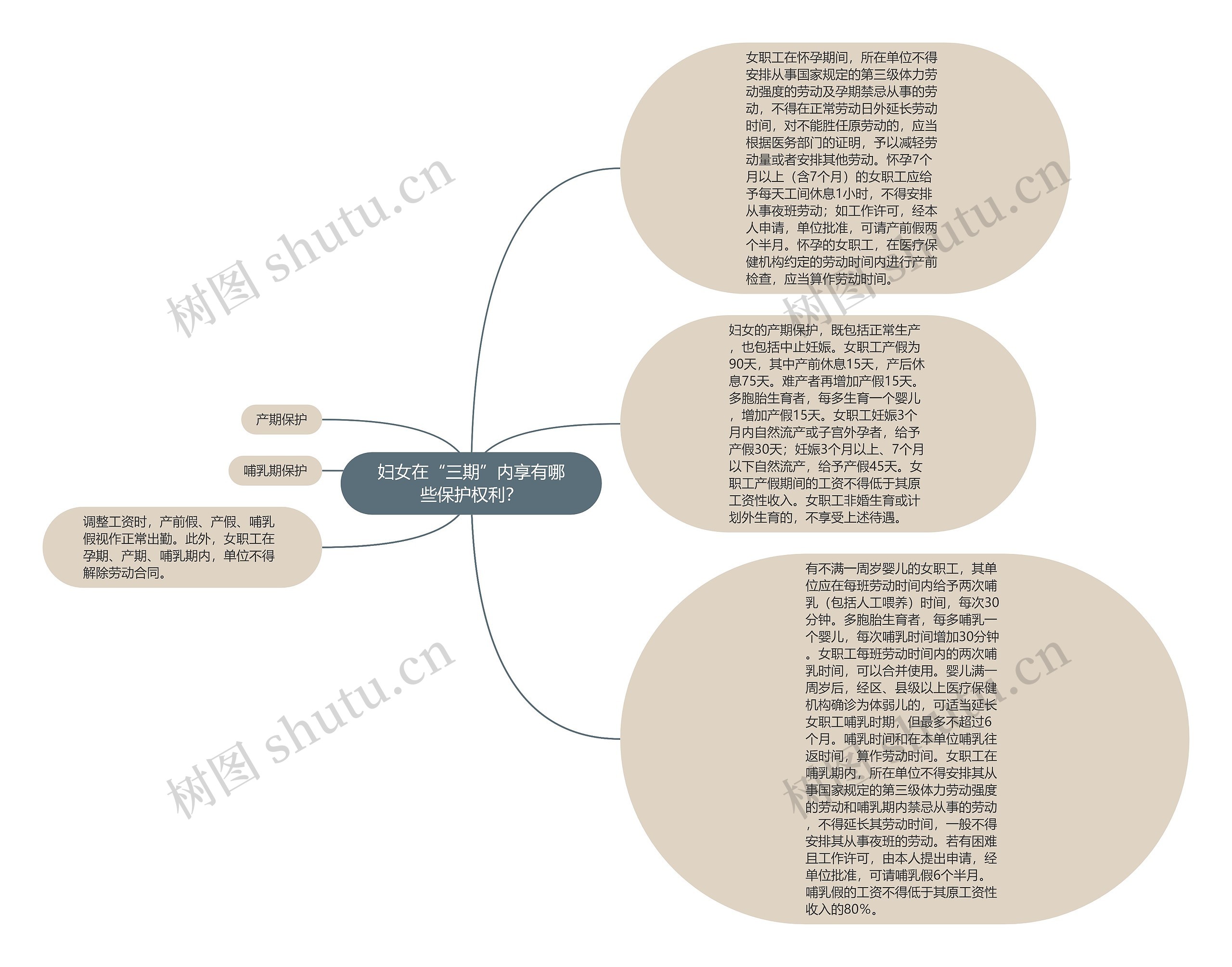 妇女在“三期”内享有哪些保护权利？思维导图