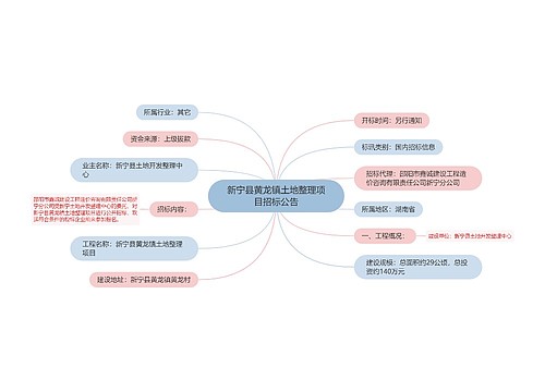 新宁县黄龙镇土地整理项目招标公告