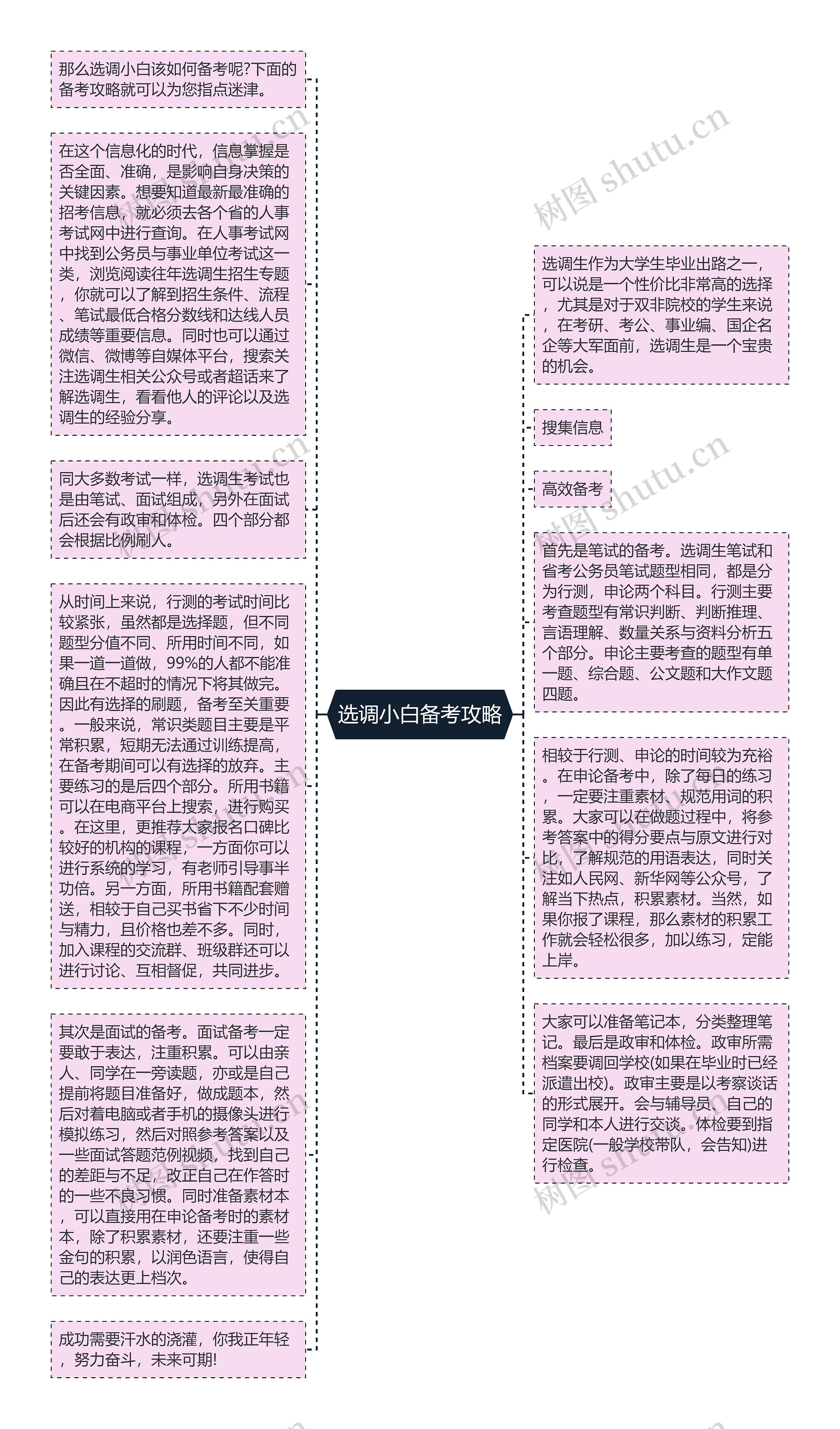 选调小白备考攻略思维导图