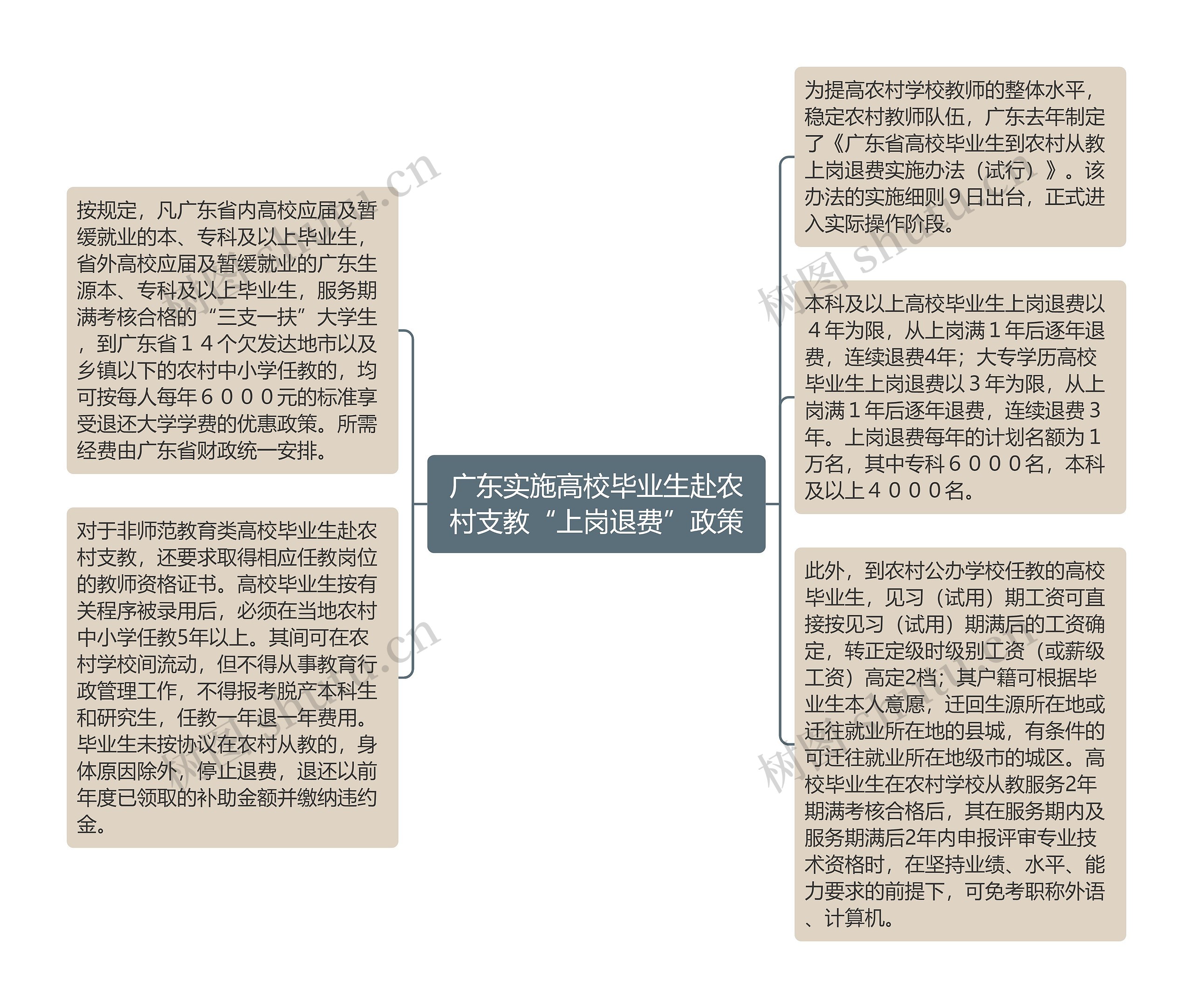 广东实施高校毕业生赴农村支教“上岗退费”政策思维导图