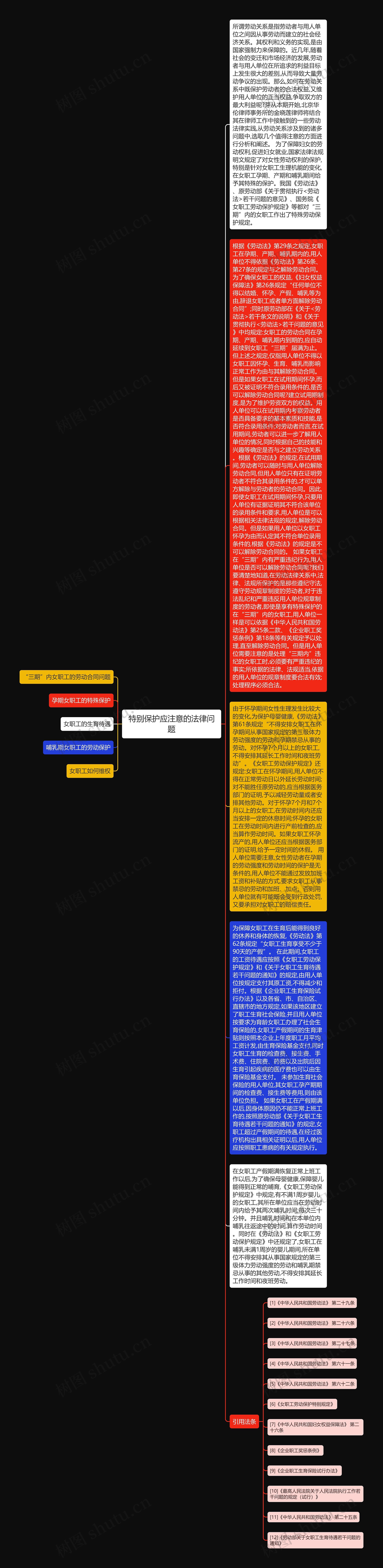 特别保护应注意的法律问题思维导图