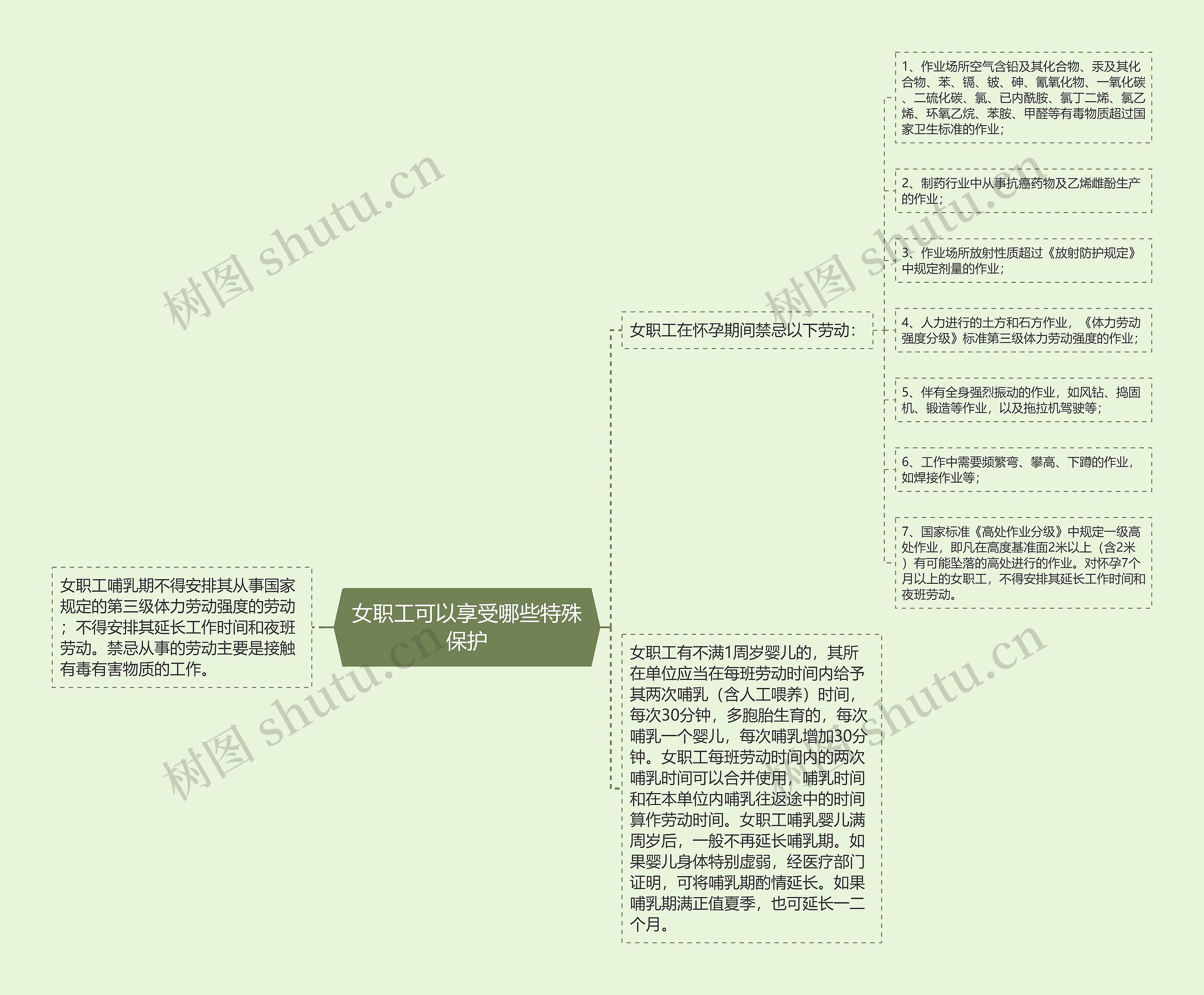 女职工可以享受哪些特殊保护