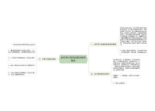 投标审计报告的要求都有哪些
