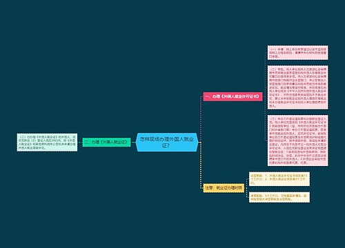 怎样现场办理外国人就业证？