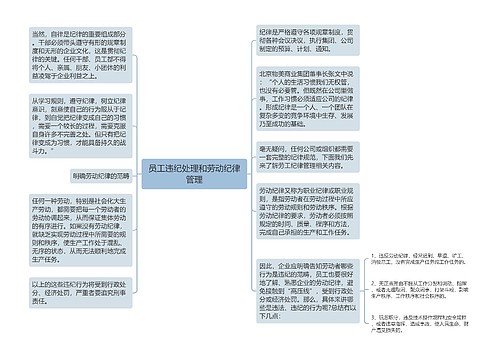 员工违纪处理和劳动纪律管理