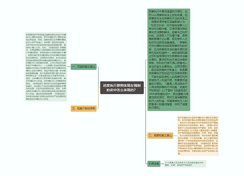 适度执行原则体现在强制拍卖中怎么体现的？