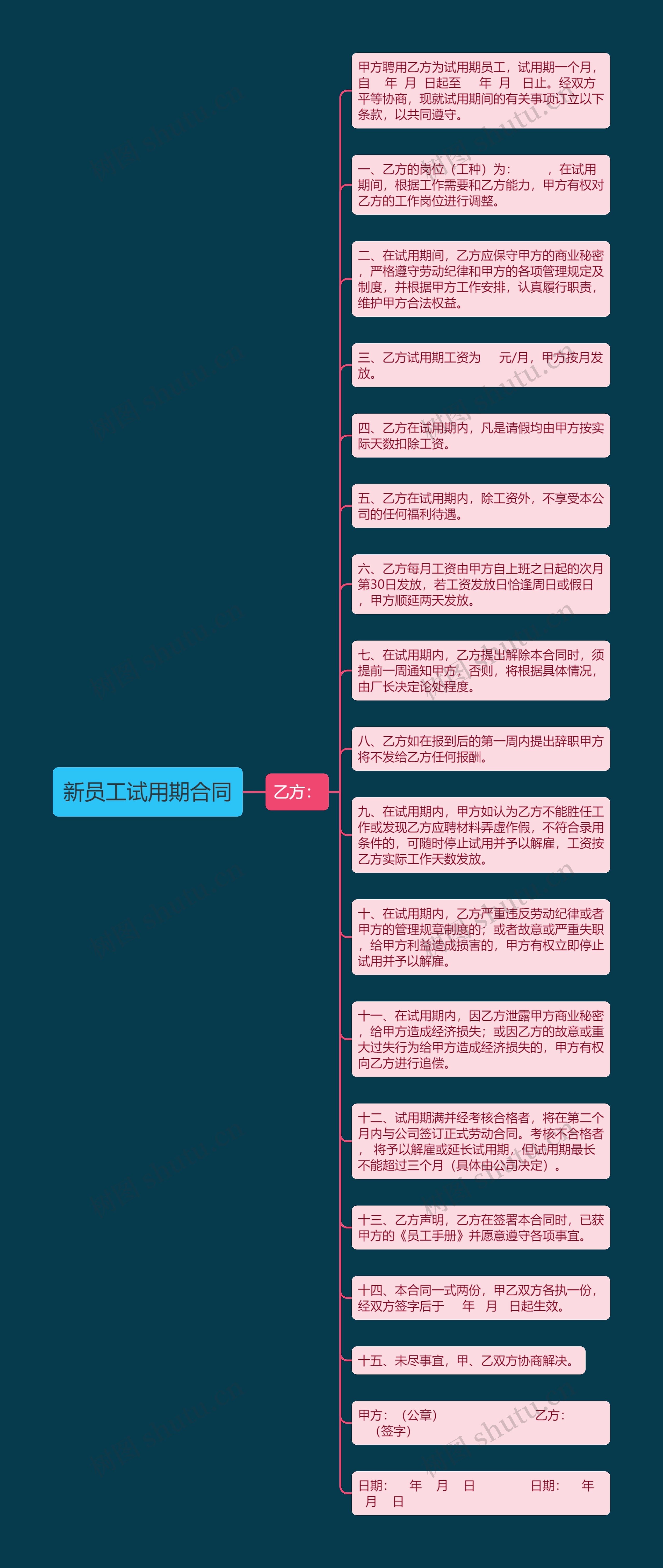 新员工试用期合同
