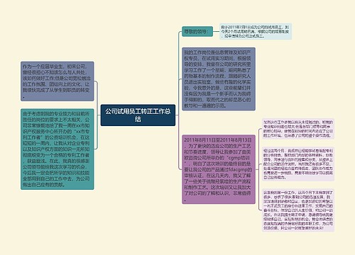 公司试用员工转正工作总结