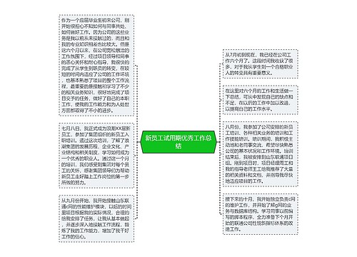 新员工试用期优秀工作总结