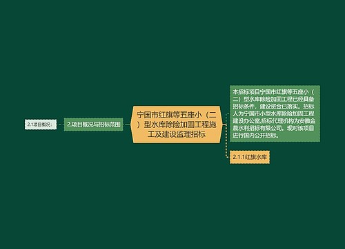 宁国市红旗等五座小（二）型水库除险加固工程施工及建设监理招标