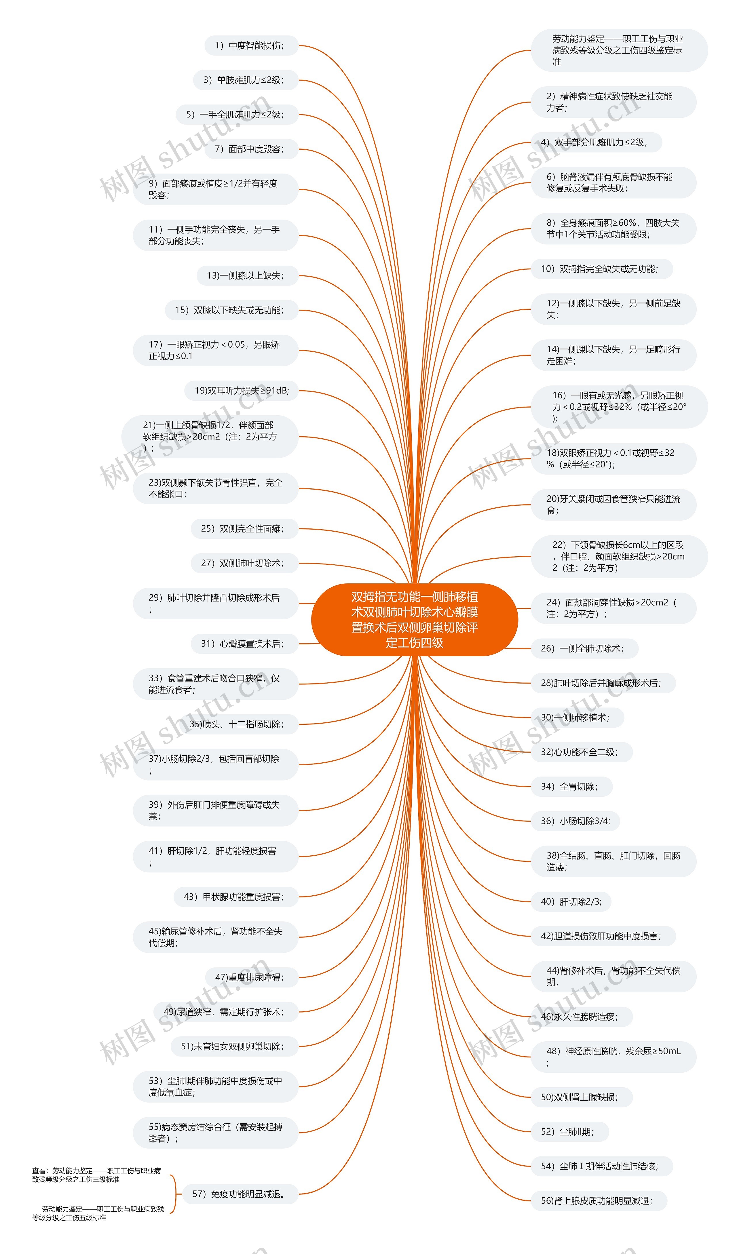 双拇指无功能一侧肺移植术双侧肺叶切除术心瓣膜置换术后双侧卵巢切除评定工伤四级思维导图