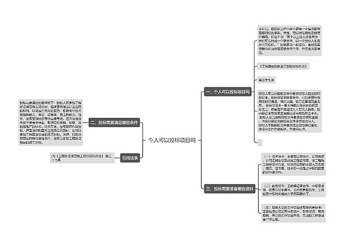 个人可以投标项目吗
