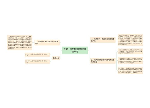 夫妻一方欠款法院能拍卖房产吗