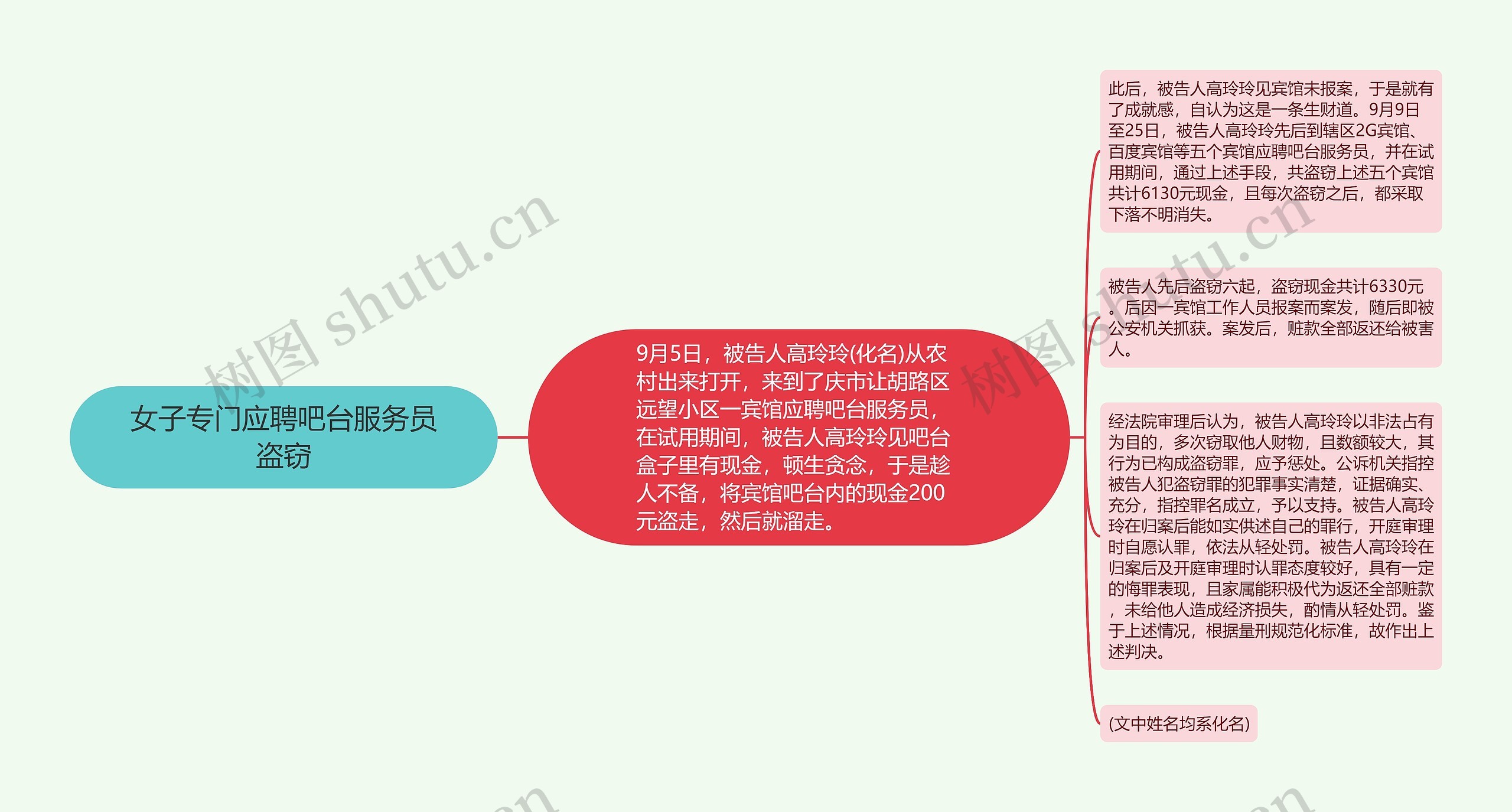 女子专门应聘吧台服务员盗窃思维导图