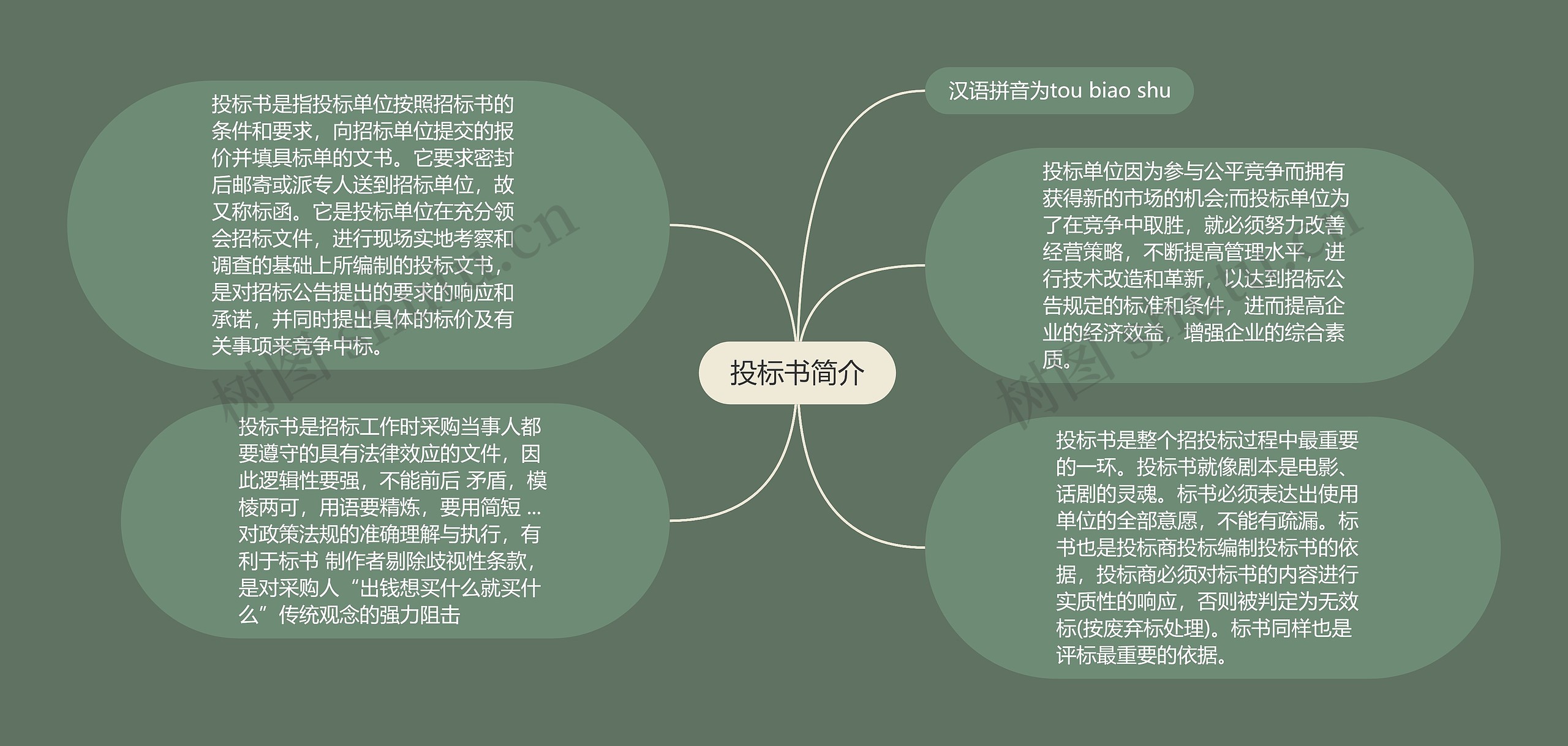 投标书简介思维导图