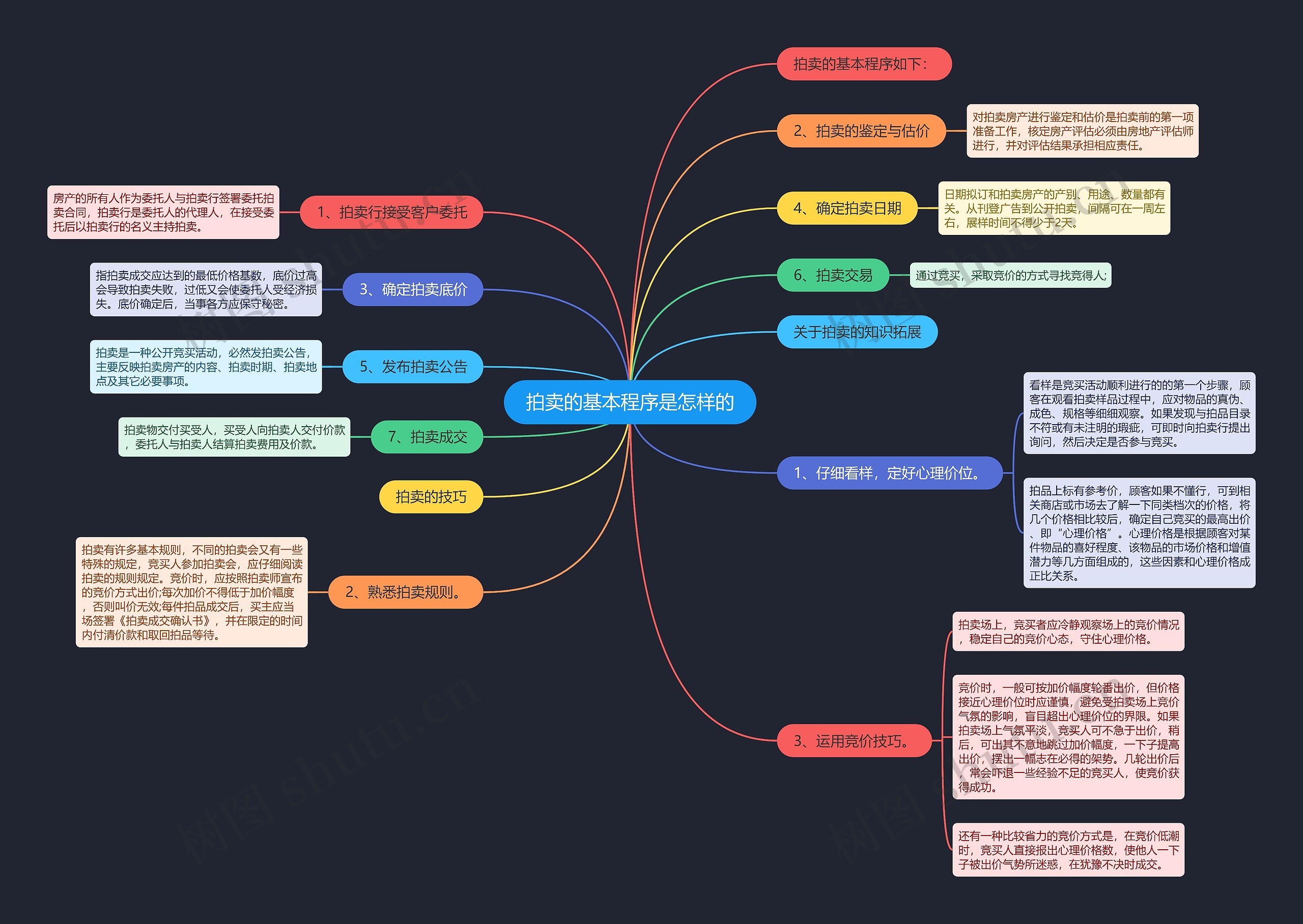 拍卖的基本程序是怎样的思维导图