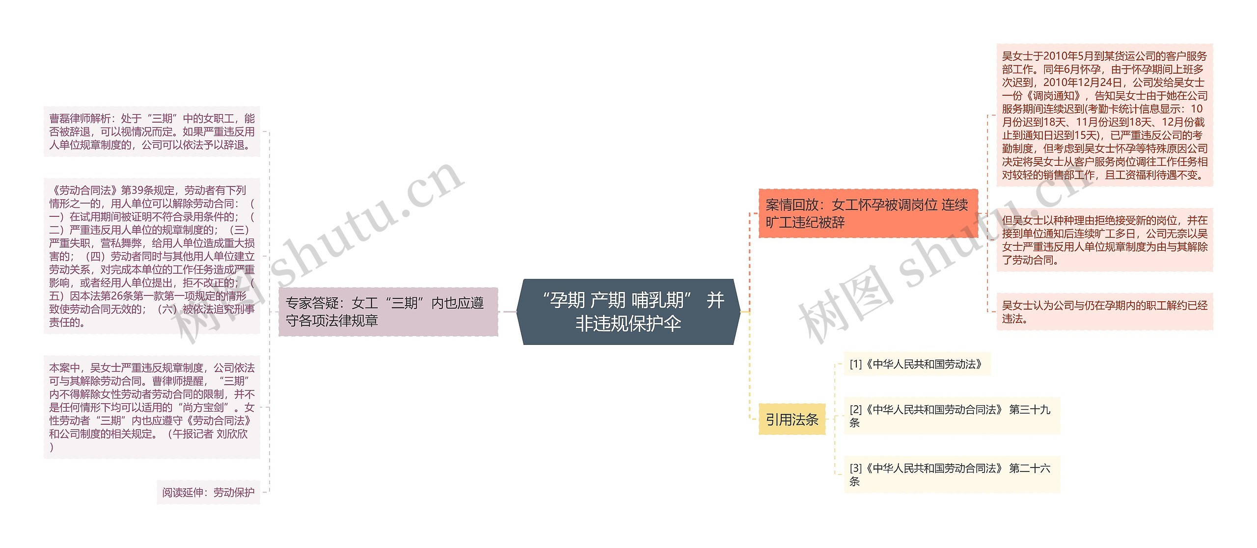 “孕期 产期 哺乳期” 并非违规保护伞思维导图