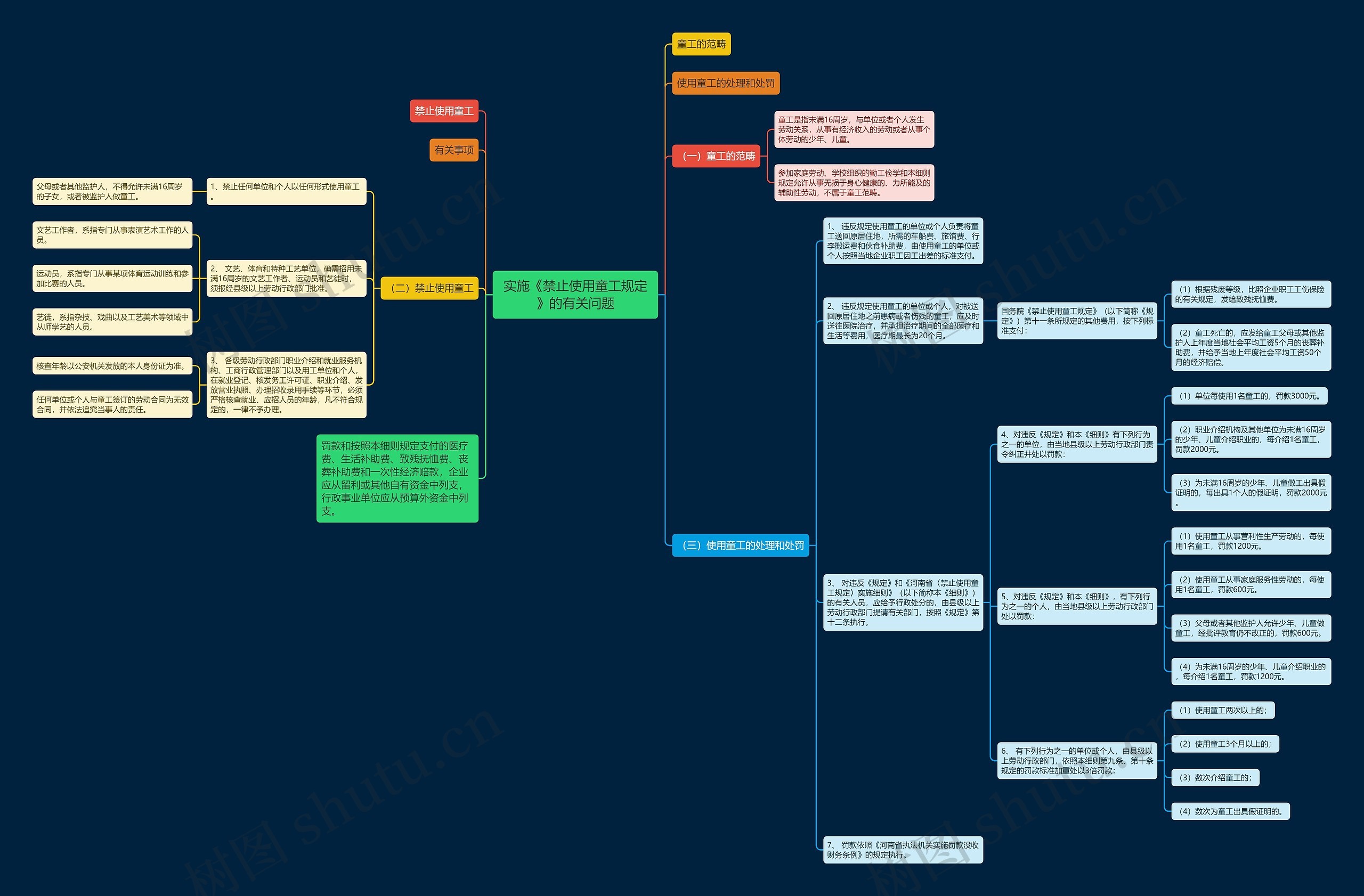 实施《禁止使用童工规定》的有关问题思维导图