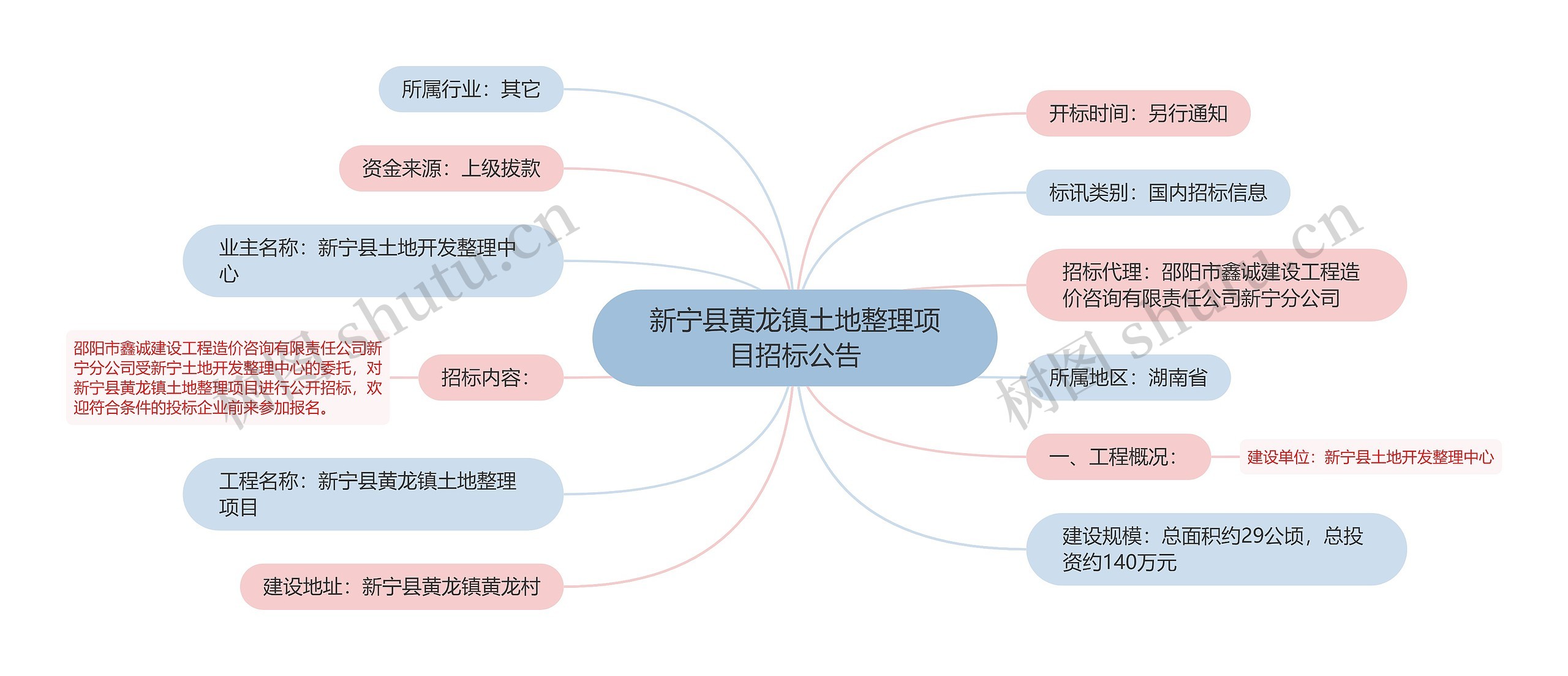 新宁县黄龙镇土地整理项目招标公告