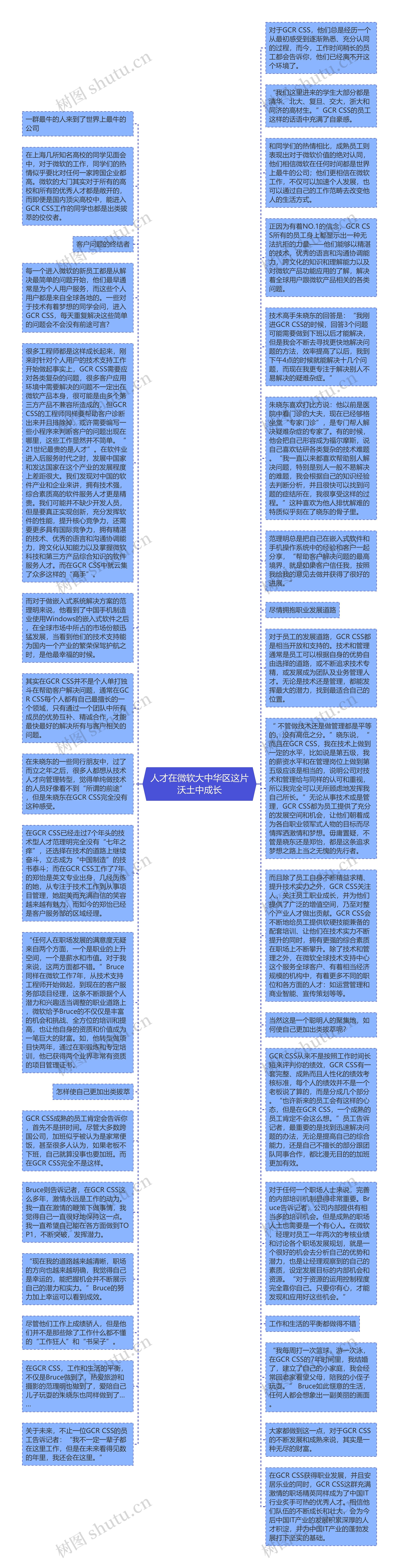 人才在微软大中华区这片沃土中成长思维导图