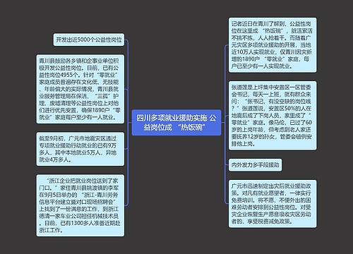 四川多项就业援助实施 公益岗位成 “热饭碗”