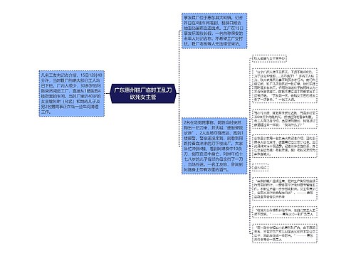 广东惠州鞋厂临时工乱刀砍死女主管