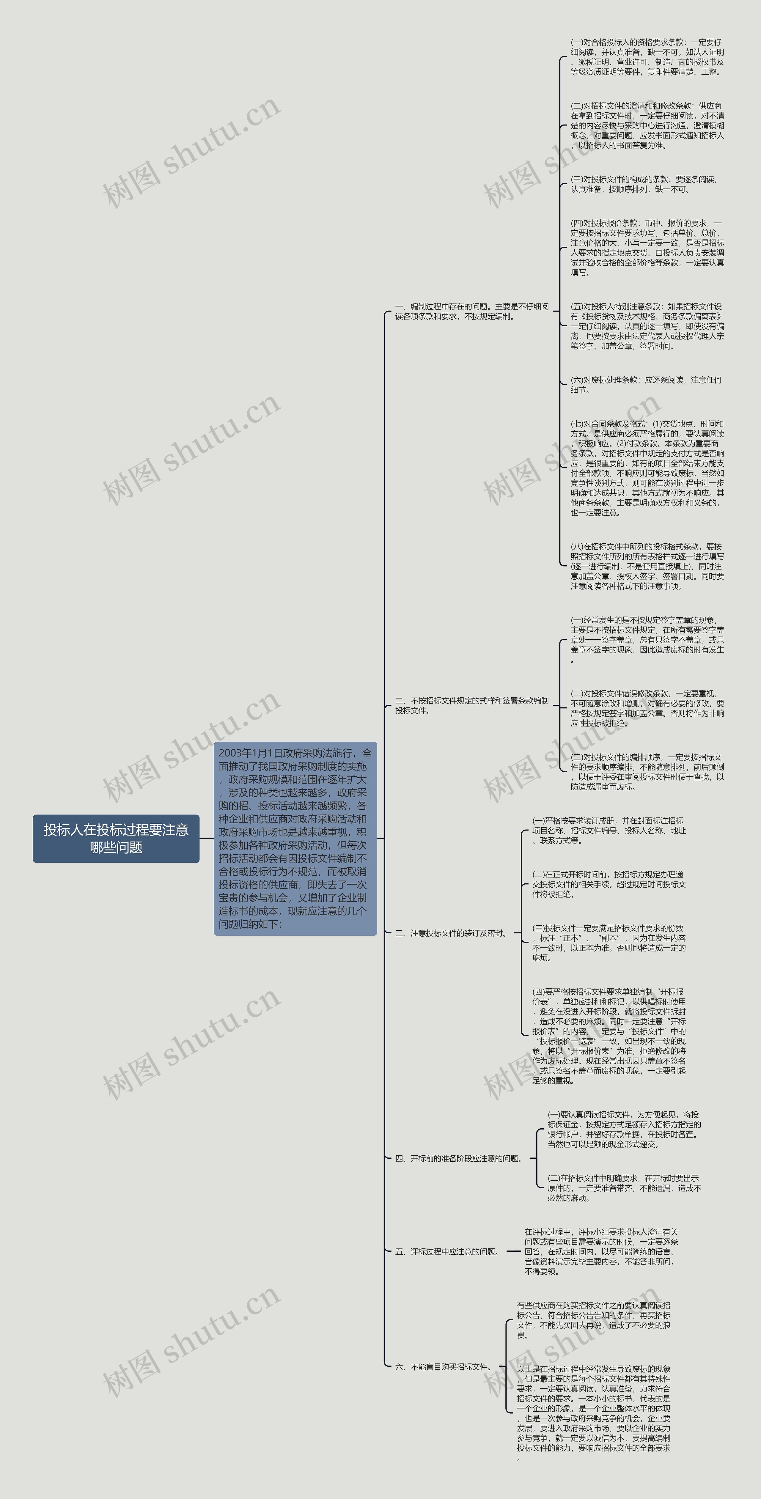 投标人在投标过程要注意哪些问题思维导图