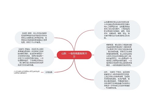 山东：一级伤残最高保20万