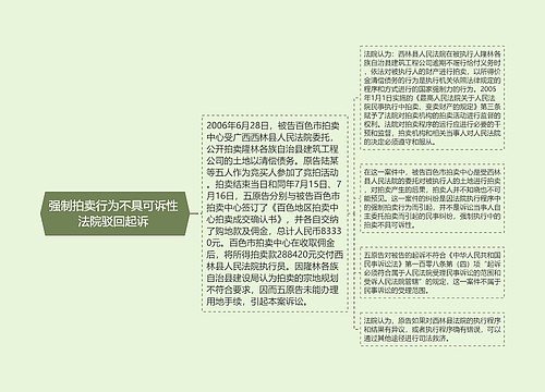 强制拍卖行为不具可诉性 法院驳回起诉 