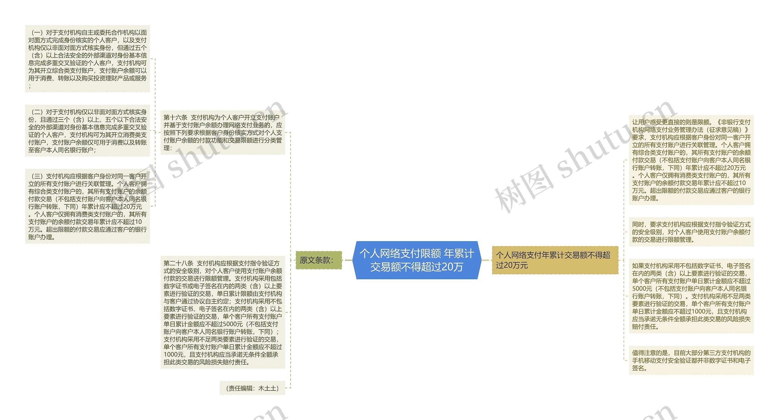 个人网络支付限额 年累计交易额不得超过20万思维导图