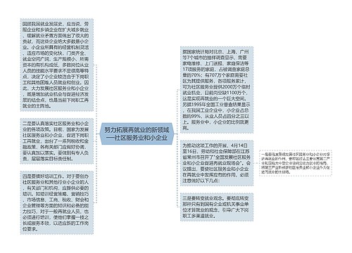 努力拓展再就业的新领域──社区服务业和小企业