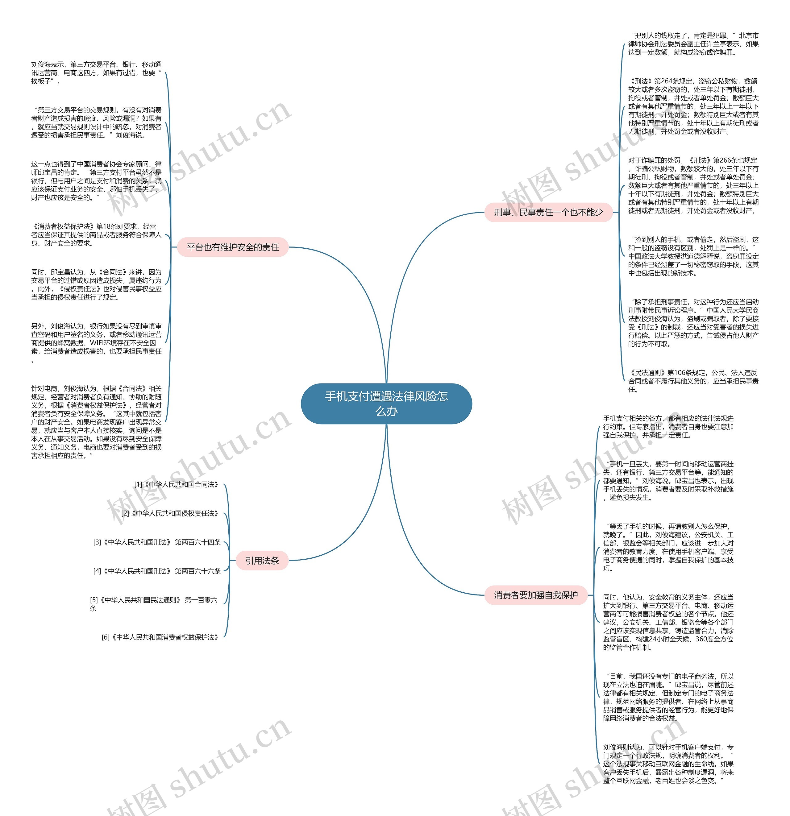手机支付遭遇法律风险怎么办思维导图