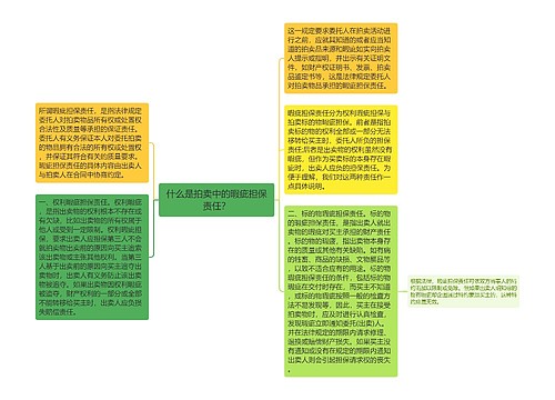 什么是拍卖中的暇疵担保责任？