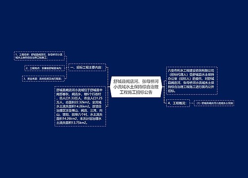 舒城县阙店河、张母桥河小流域水土保持综合治理工程施工招标公告