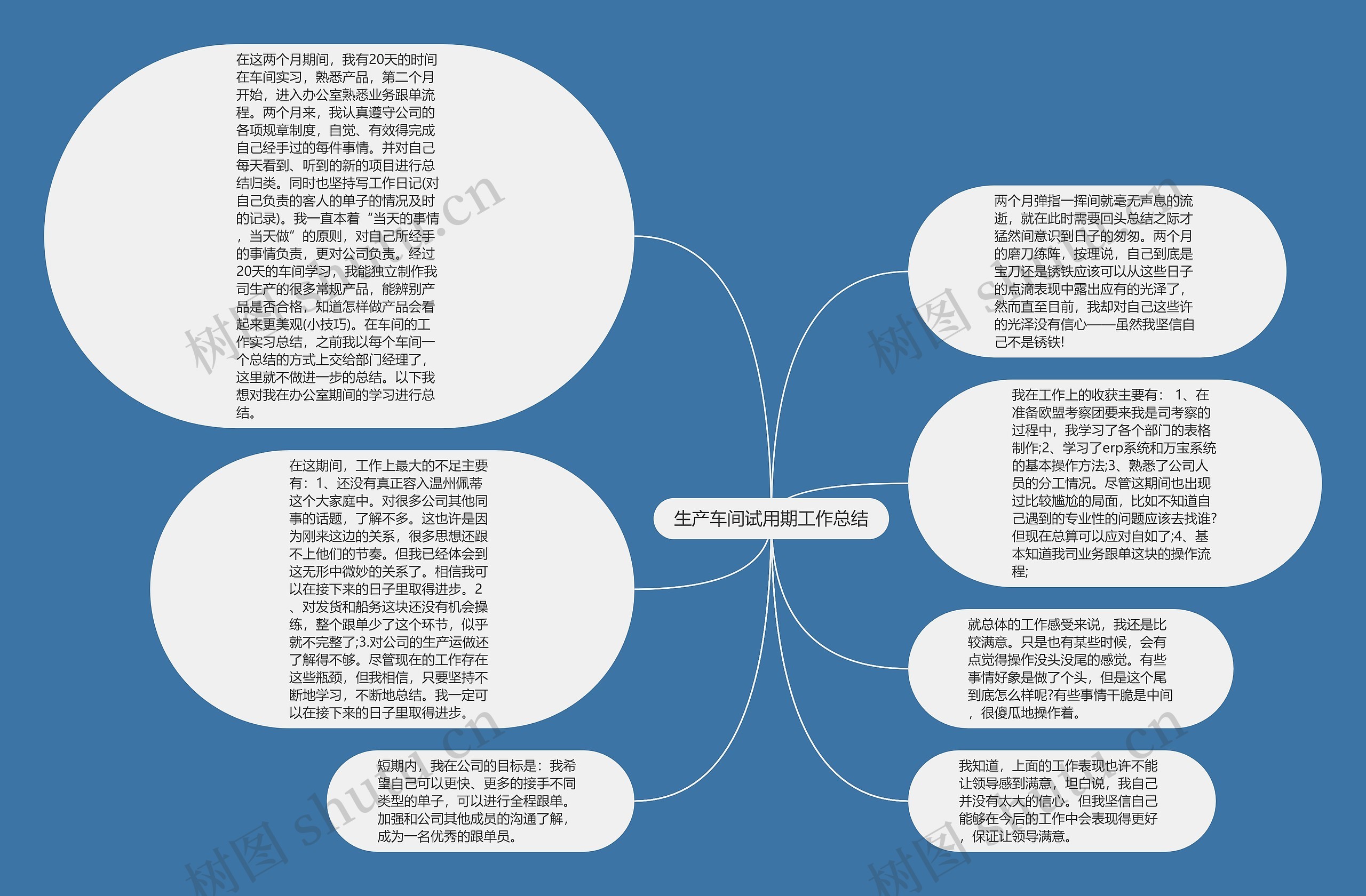 生产车间试用期工作总结思维导图