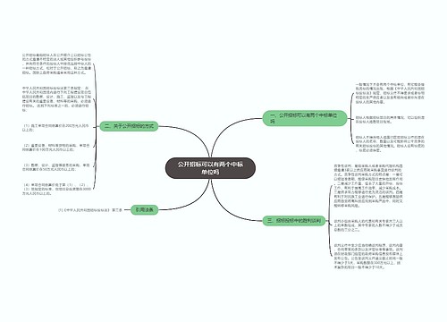 公开招标可以有两个中标单位吗