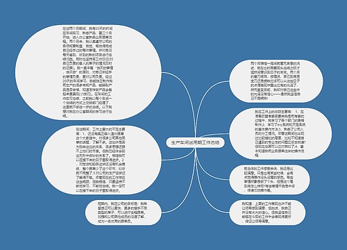 生产车间试用期工作总结