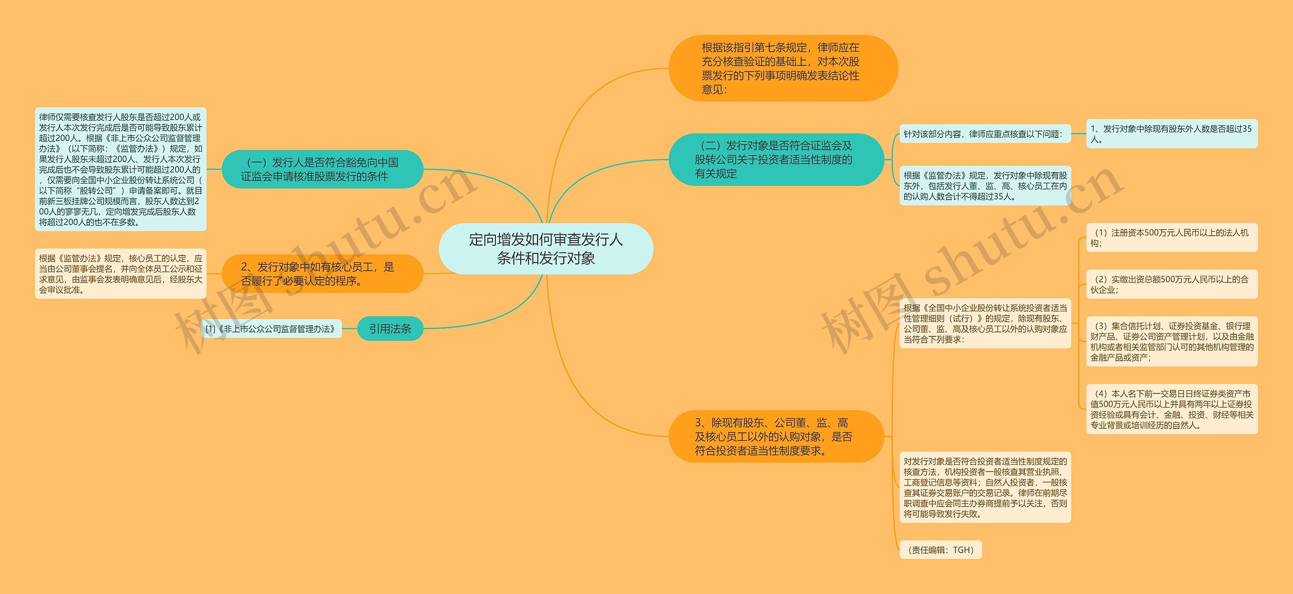 定向增发如何审查发行人条件和发行对象思维导图