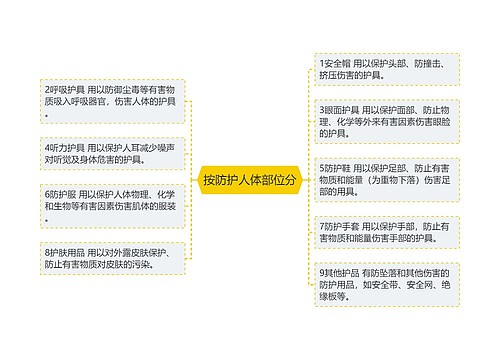 按防护人体部位分