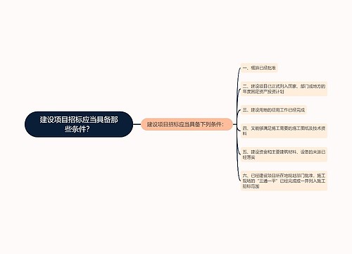 建设项目招标应当具备那些条件？