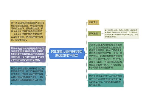 民政部重大招标投标项目廉政监督若干规定