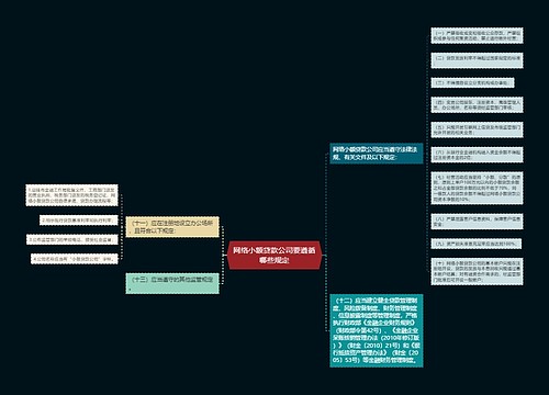 网络小额贷款公司要遵循哪些规定