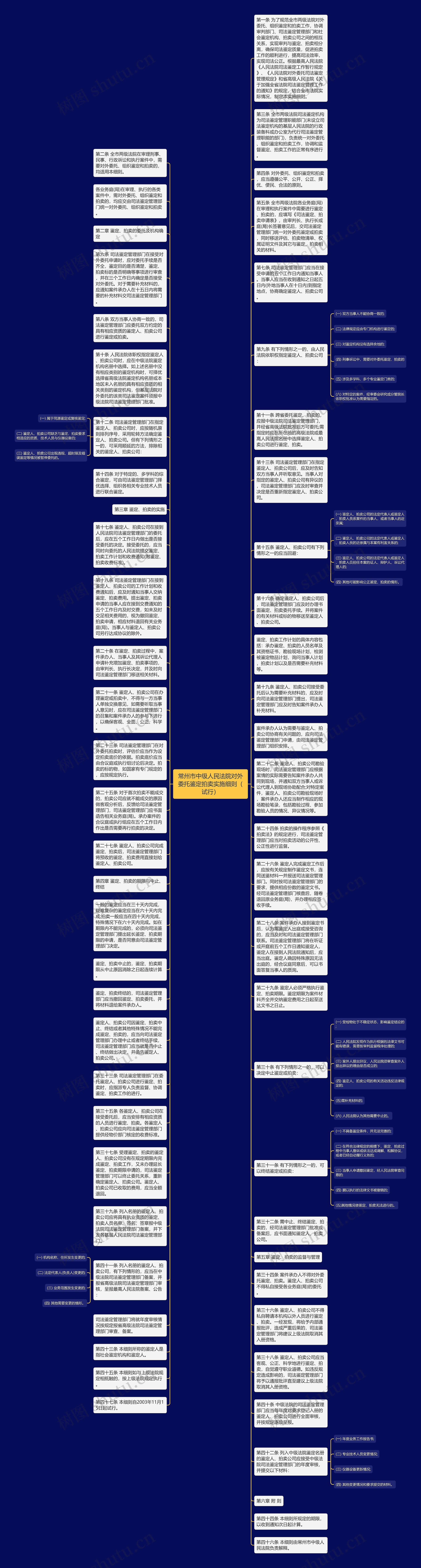 常州市中级人民法院对外委托鉴定拍卖实施细则（试行）思维导图