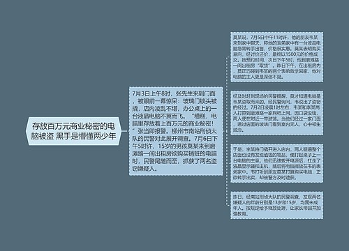 存放百万元商业秘密的电脑被盗 黑手是懵懂两少年