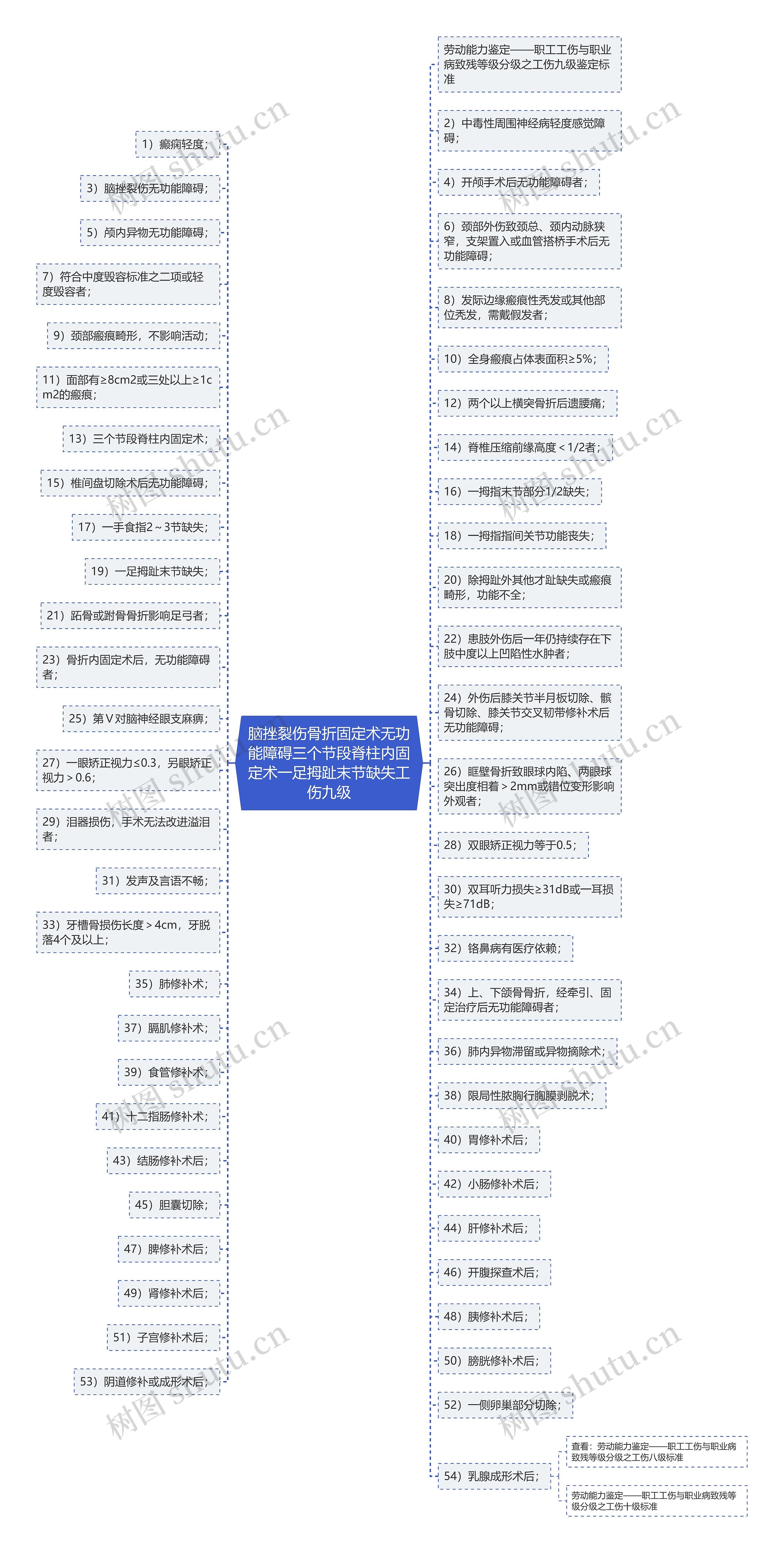 脑挫裂伤骨折固定术无功能障碍三个节段脊柱内固定术一足拇趾末节缺失工伤九级