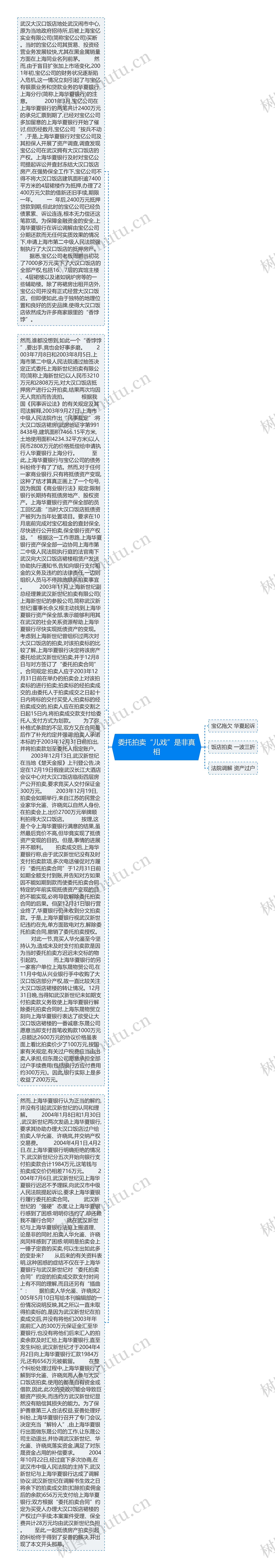 委托拍卖“儿戏”是非真相