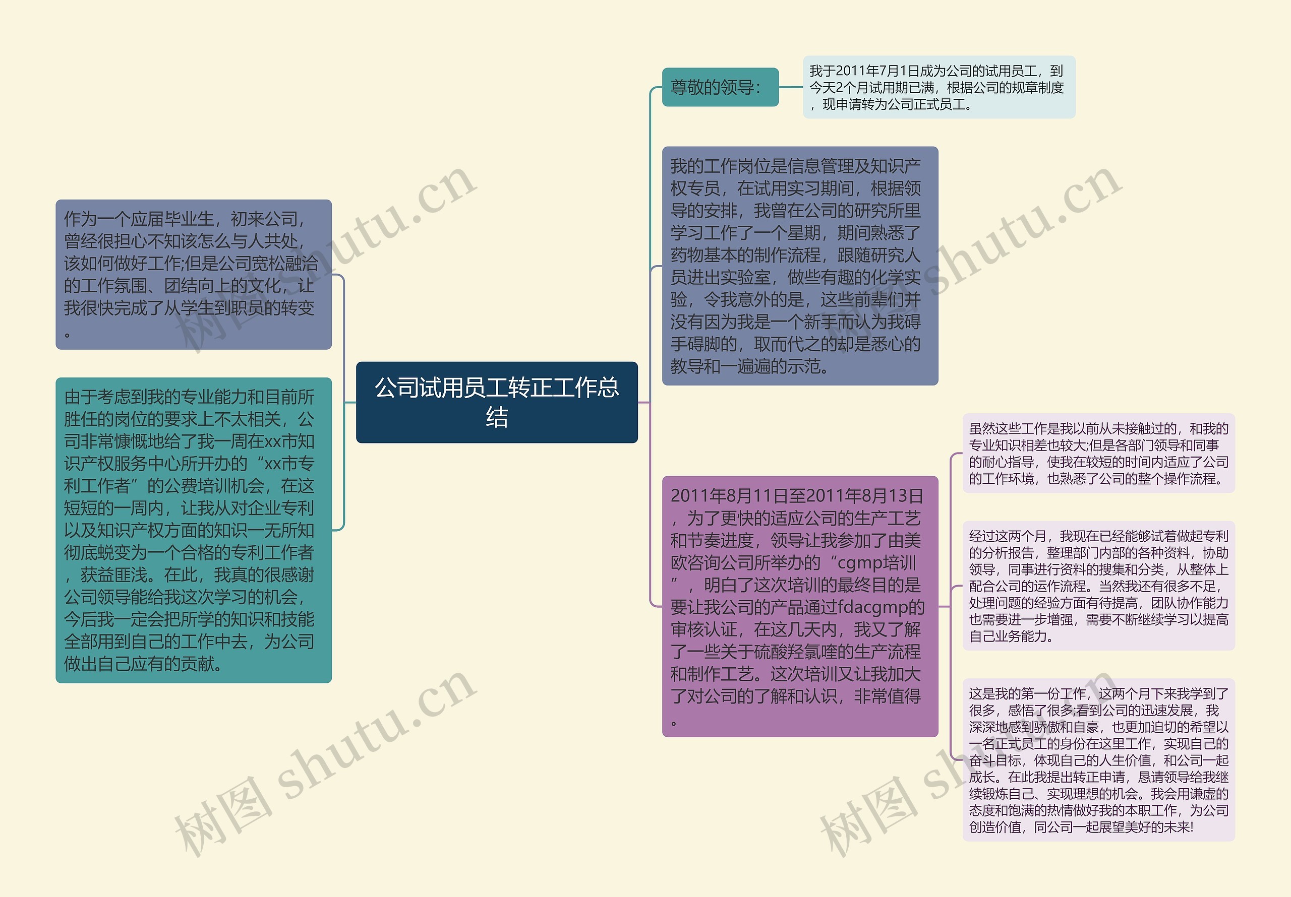 公司试用员工转正工作总结