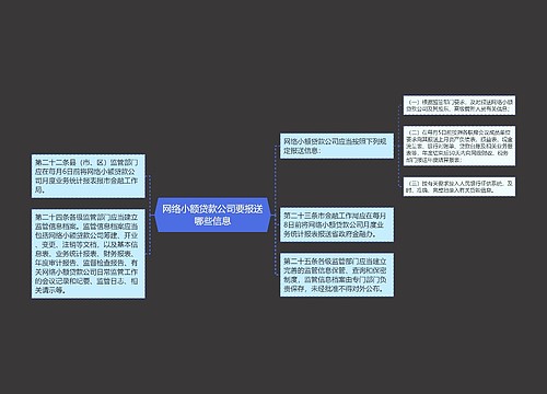 网络小额贷款公司要报送哪些信息