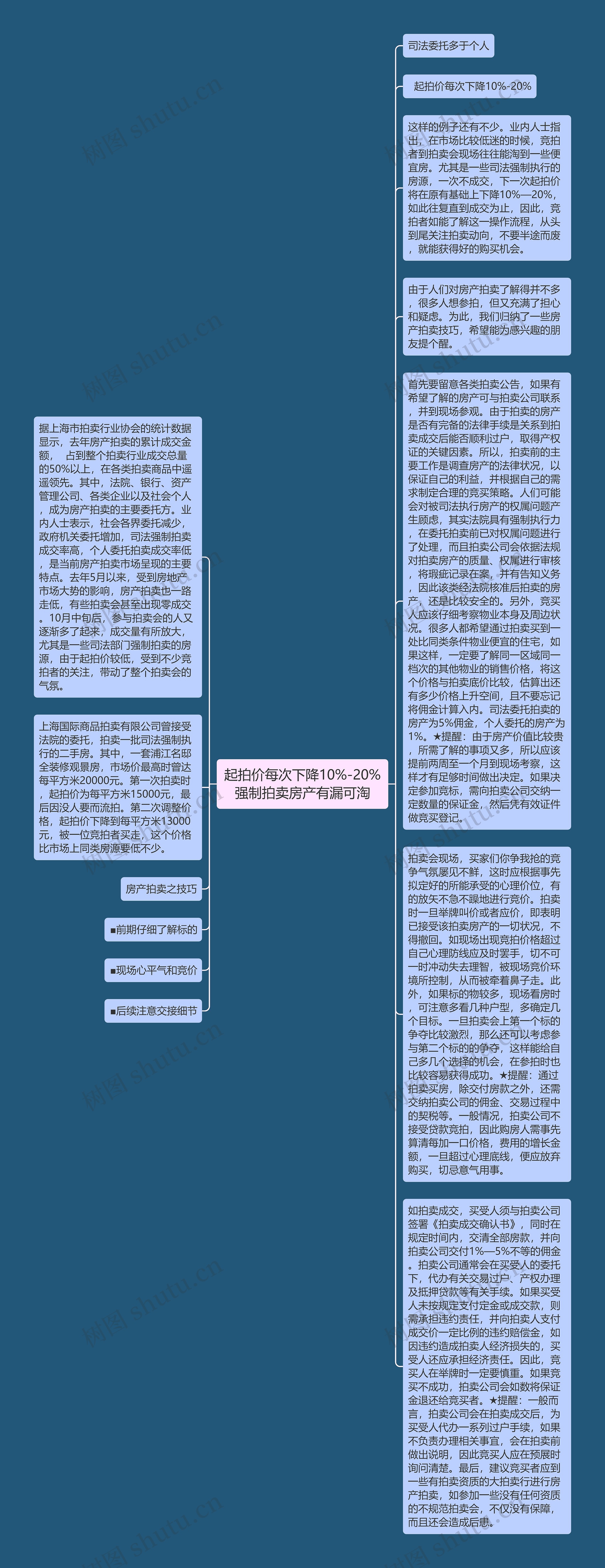 起拍价每次下降10%-20% 强制拍卖房产有漏可淘 思维导图